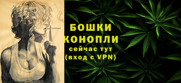 молекула духа Зерноград