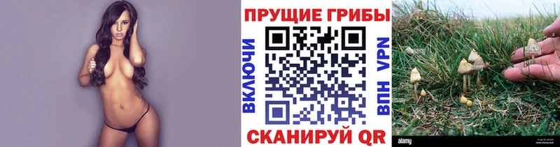 гидра зеркало  цены наркотик  Питкяранта  Галлюциногенные грибы Magic Shrooms 